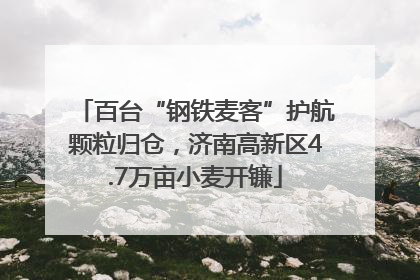 百台“钢铁麦客”护航颗粒归仓，济南高新区4.7万亩小麦开镰