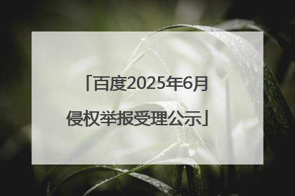 百度2025年6月侵权举报受理公示
