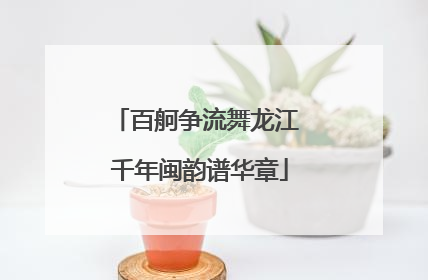 百舸争流舞龙江 千年闽韵谱华章