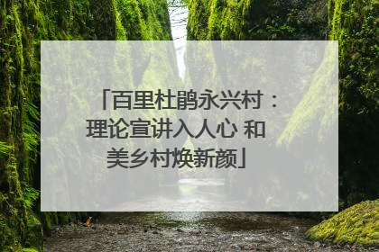 百里杜鹃永兴村：理论宣讲入人心 和美乡村焕新颜