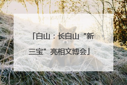 白山：长白山“新三宝”亮相文博会