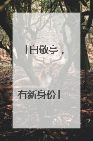 白敬亭，有新身份