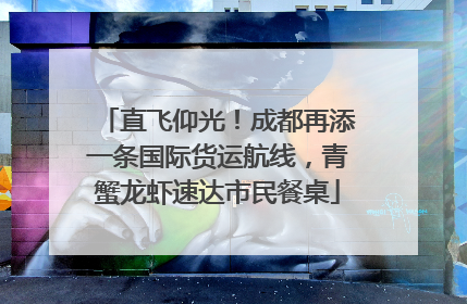 直飞仰光！成都再添一条国际货运航线，青蟹龙虾速达市民餐桌