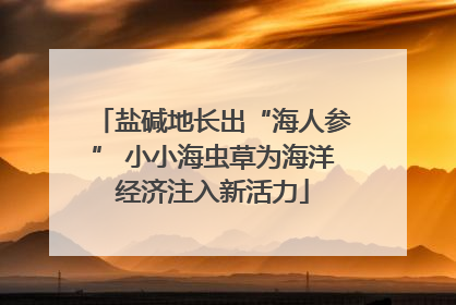 盐碱地长出“海人参” 小小海虫草为海洋经济注入新活力