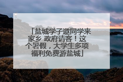 盐城学子邀同学来家乡 政府请客！这个暑假，大学生多项福利免费游盐城