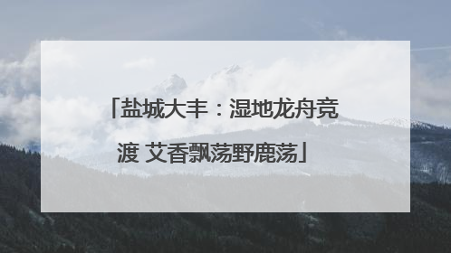 盐城大丰：湿地龙舟竞渡 艾香飘荡野鹿荡