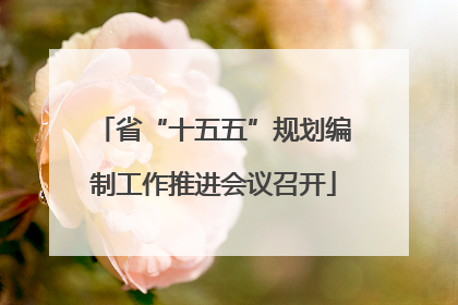 省“十五五”规划编制工作推进会议召开