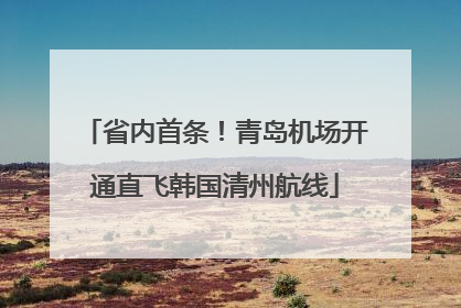 省内首条！青岛机场开通直飞韩国清州航线