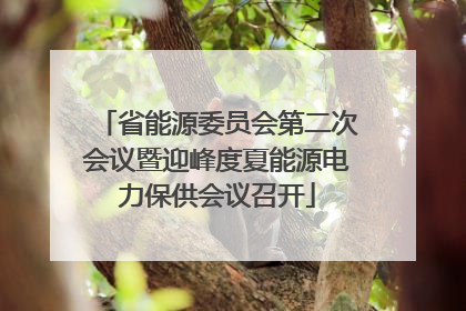 省能源委员会第二次会议暨迎峰度夏能源电力保供会议召开