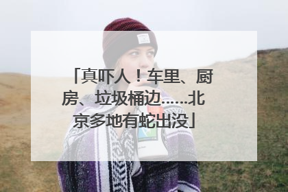 真吓人！车里、厨房、垃圾桶边……北京多地有蛇出没