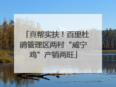 真帮实扶！百里杜鹃管理区两村“威宁鸡”产销两旺
