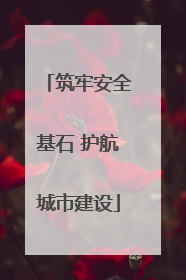 筑牢安全基石 护航城市建设