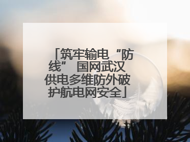 筑牢输电“防线” 国网武汉供电多维防外破护航电网安全