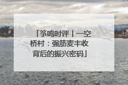 筝鸣时评丨一空桥村：强筋麦丰收背后的振兴密码