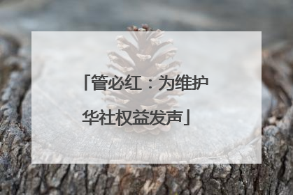 管必红：为维护华社权益发声