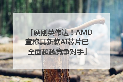 硬刚英伟达！AMD宣称其新款AI芯片已全面超越竞争对手