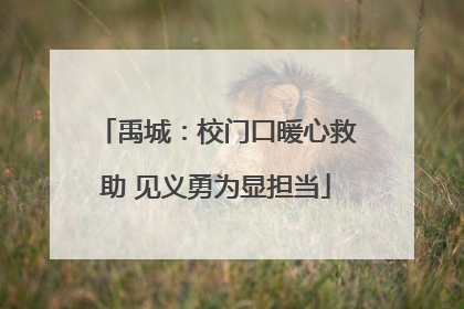 禹城：校门口暖心救助 见义勇为显担当
