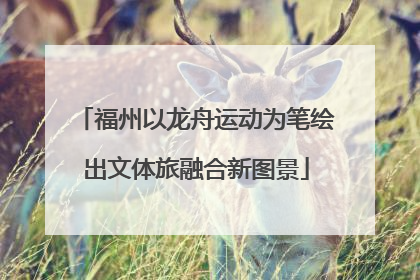 福州以龙舟运动为笔绘出文体旅融合新图景