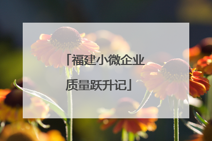 福建小微企业质量跃升记