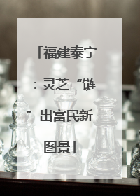 福建泰宁：灵芝“链”出富民新图景