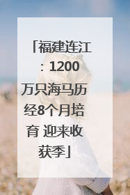 福建连江：1200万只海马历经8个月培育 迎来收获季