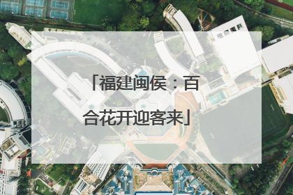 福建闽侯：百合花开迎客来