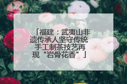 福建：武夷山非遗传承人坚守传统 手工制茶技艺再现“岩骨花香”