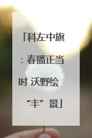 科左中旗:春播正当时 沃野绘“丰”景