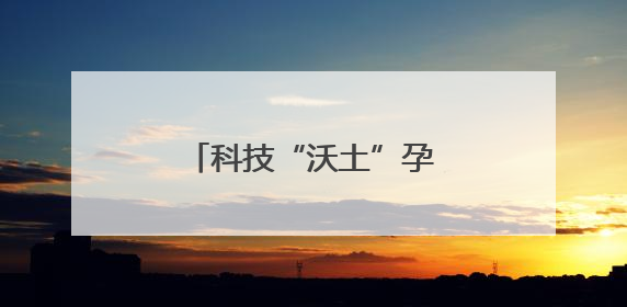 科技“沃土”孕育油菜“金种”