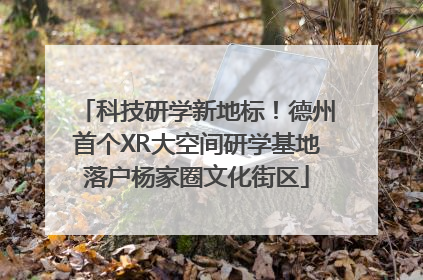 科技研学新地标！德州首个XR大空间研学基地落户杨家圈文化街区