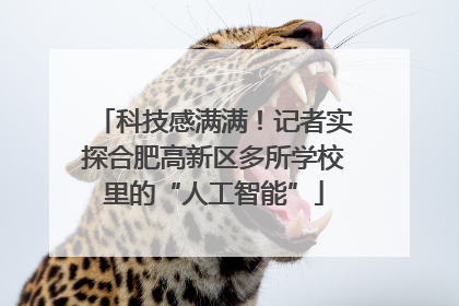 科技感满满！记者实探合肥高新区多所学校里的“人工智能”