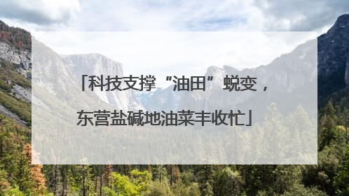 科技支撑“油田”蜕变，东营盐碱地油菜丰收忙