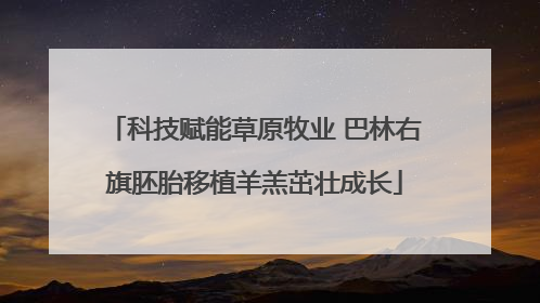 科技赋能草原牧业 巴林右旗胚胎移植羊羔茁壮成长
