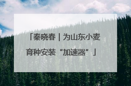 秦晓春｜为山东小麦育种安装“加速器”