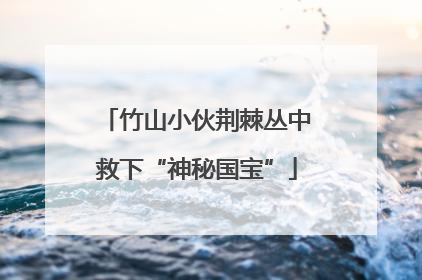 竹山小伙荆棘丛中救下“神秘国宝”