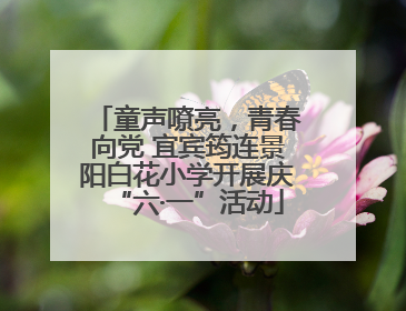 童声嘹亮，青春向党 宜宾筠连景阳白花小学开展庆“六·一”活动