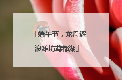 端午节，龙舟逐浪潍坊鸢都湖