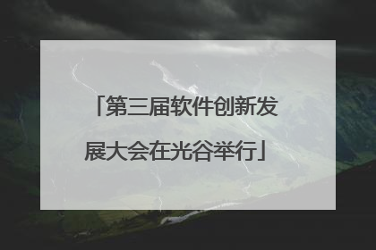 第三届软件创新发展大会在光谷举行