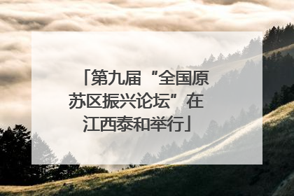 第九届“全国原苏区振兴论坛”在江西泰和举行