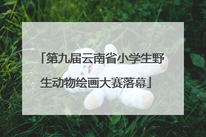 第九届云南省小学生野生动物绘画大赛落幕