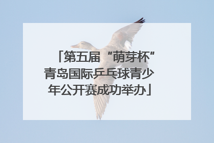 第五届“萌芽杯”青岛国际乒乓球青少年公开赛成功举办