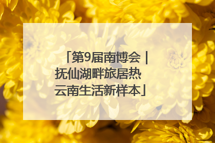 第9届南博会｜抚仙湖畔旅居热 云南生活新样本