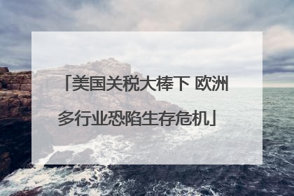 美国关税大棒下 欧洲多行业恐陷生存危机