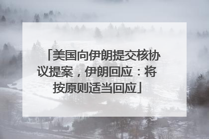 美国向伊朗提交核协议提案，伊朗回应：将按原则适当回应