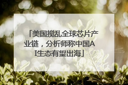 美国搅乱全球芯片产业链，分析师称中国AI生态有望出海