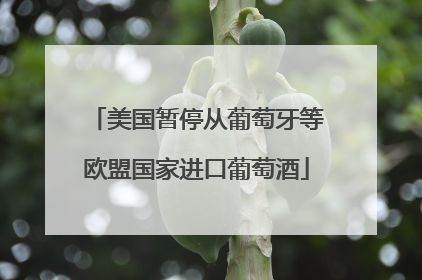 美国暂停从葡萄牙等欧盟国家进口葡萄酒