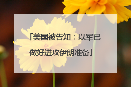 美国被告知：以军已做好进攻伊朗准备