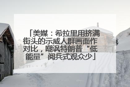 美媒：希拉里用挤满街头的示威人群画面作对比，嘲讽特朗普“低能量”阅兵式观众少