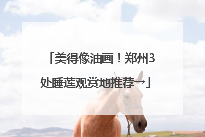 美得像油画！郑州3处睡莲观赏地推荐→