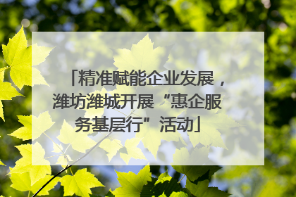 精准赋能企业发展，潍坊潍城开展“惠企服务基层行”活动
